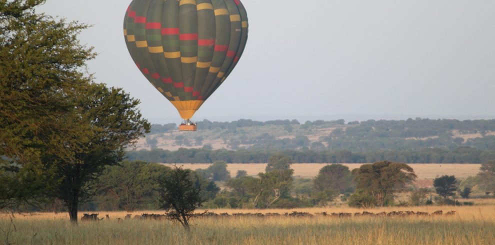 balloon safaris
