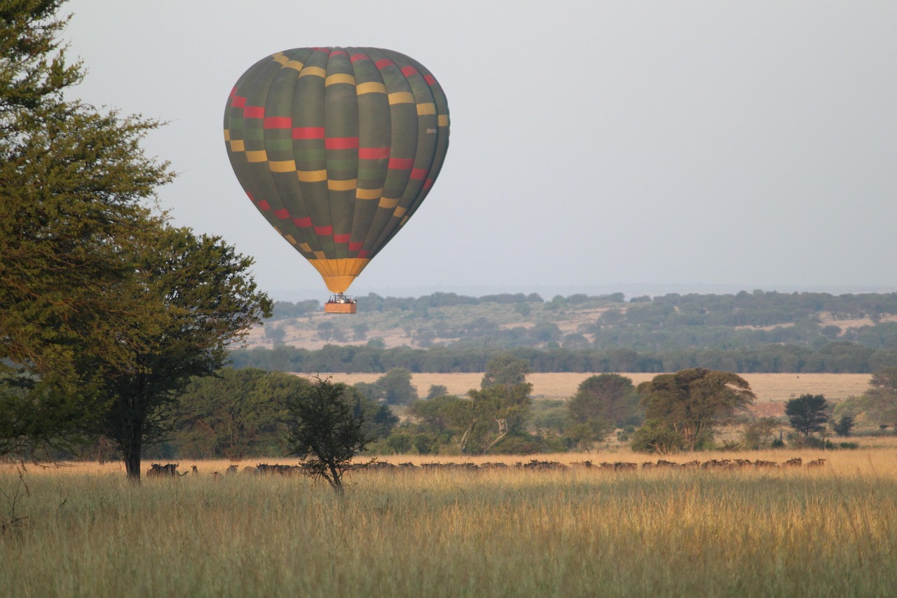 balloon safaris